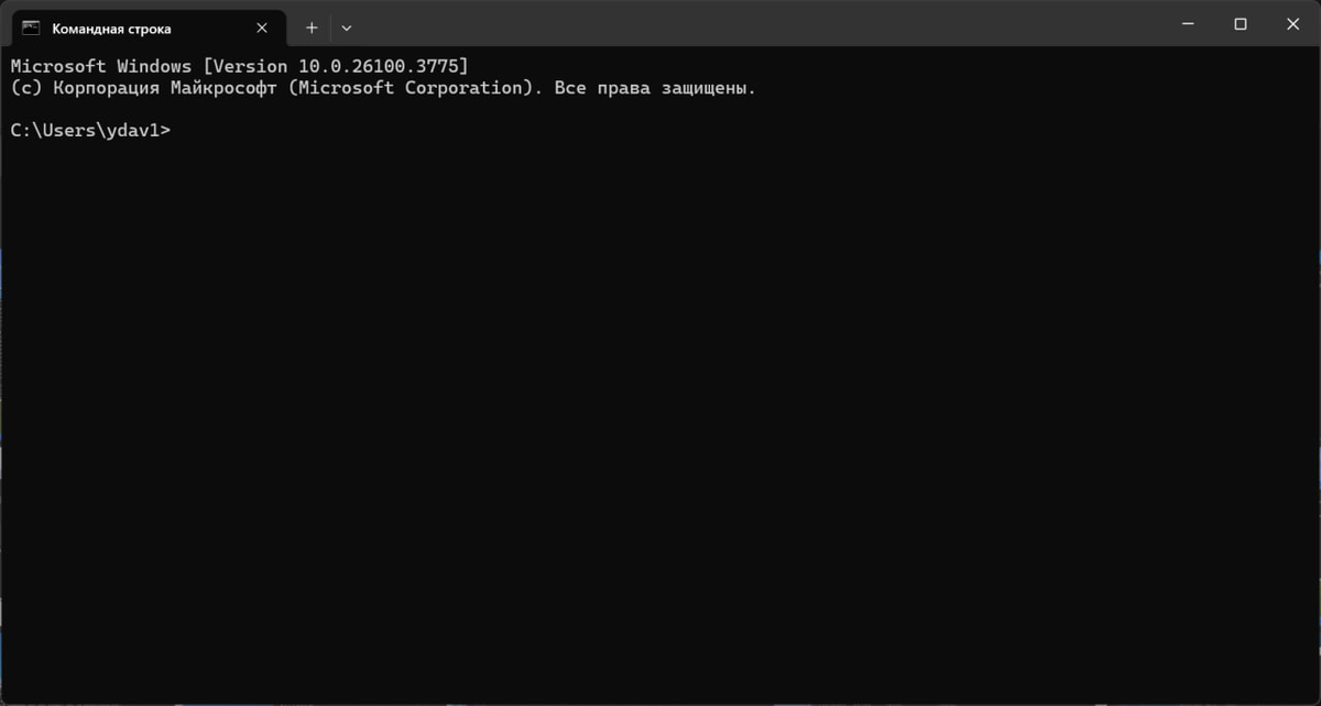 Запущенный cmd.exe
