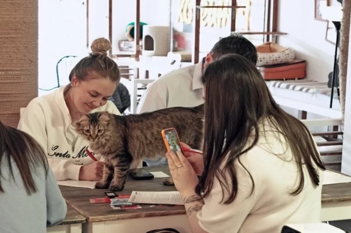    В Уфе 182 человека написали Тотальный диктант на «отлично»