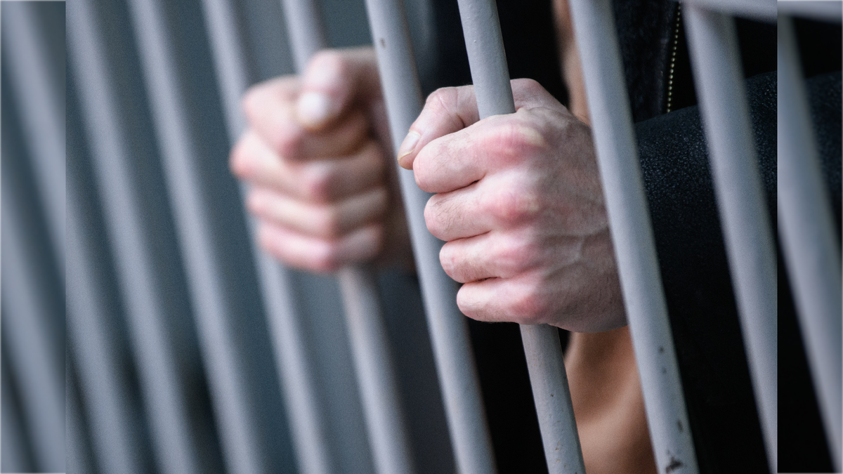 Фото:  Ilya Moskovets/globallookpress.com