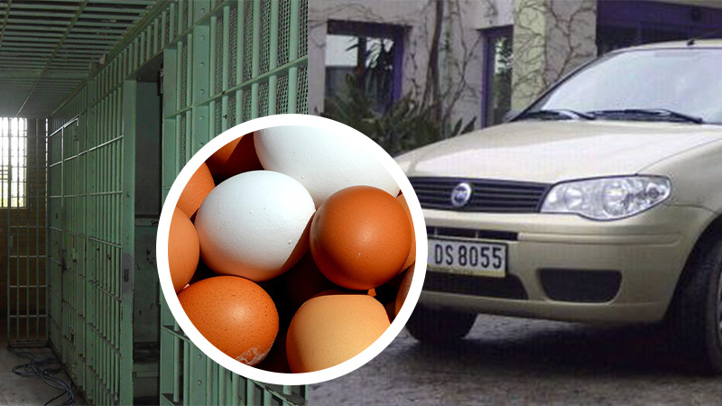 Фото: pexels.com, pixabay.com, wikimedia.org