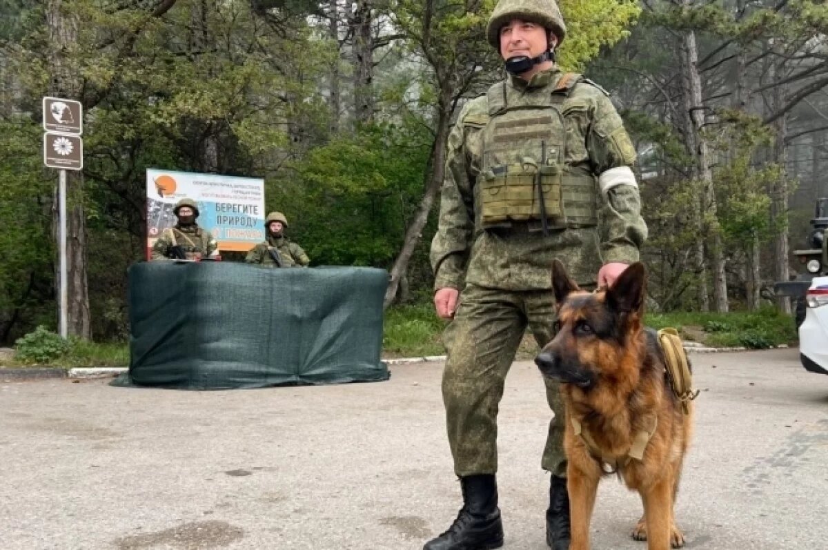    В прибрежной зоне от Феодосии до поселка Форос завершаются учения