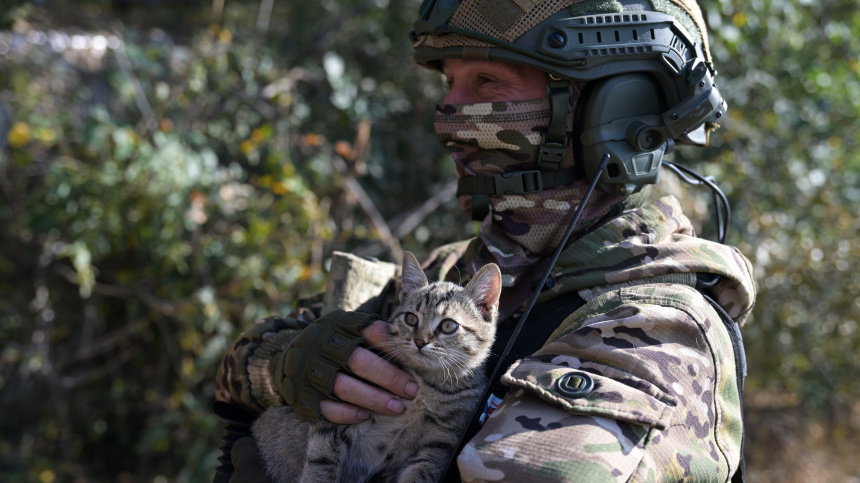    Фото: © РИА Новости/Евгений Биятов