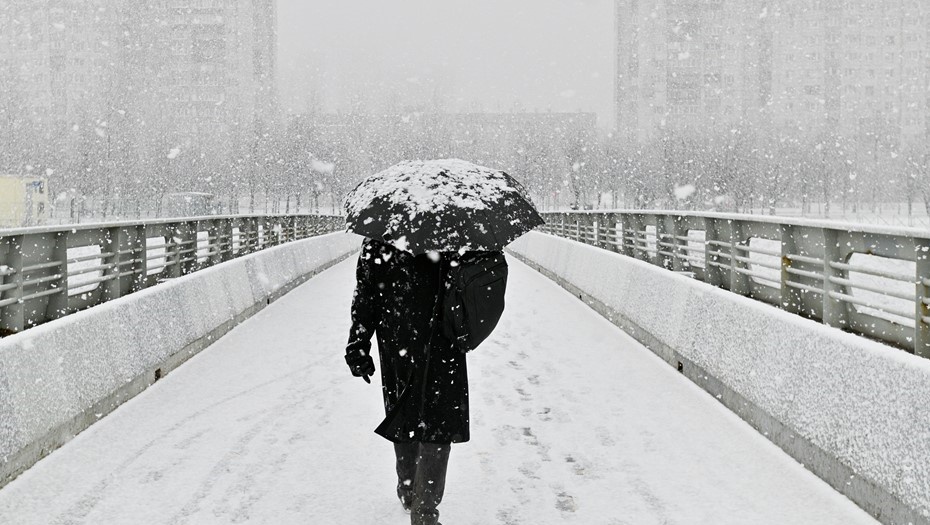   Снегопад в Петербурге. Автор фото: Ермохин Сергей/"ДП"