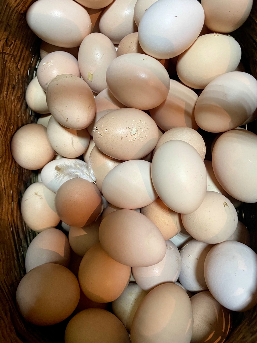 Яйцо куриное, деревенское. Красная цена 150 р. десяток. (фото автора)