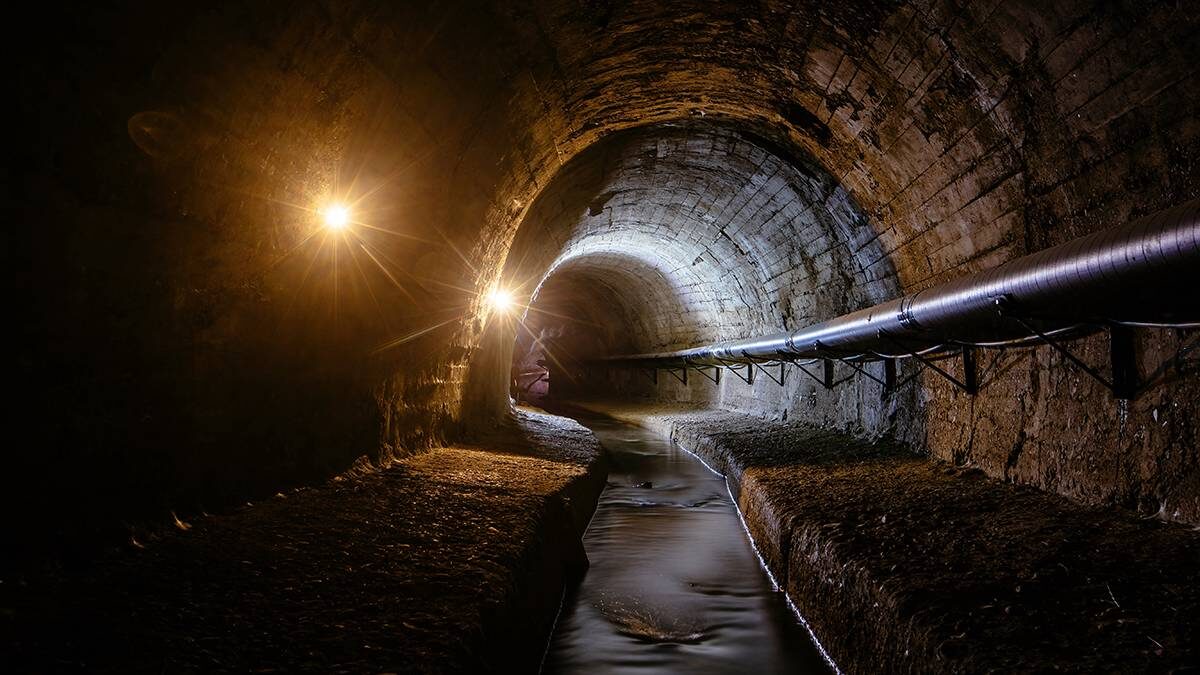    Фото: Shutterstock