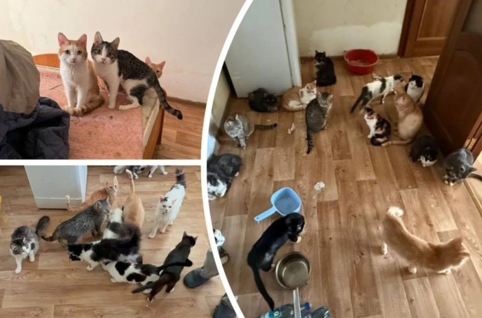 Фото «КП-Новосибирск».