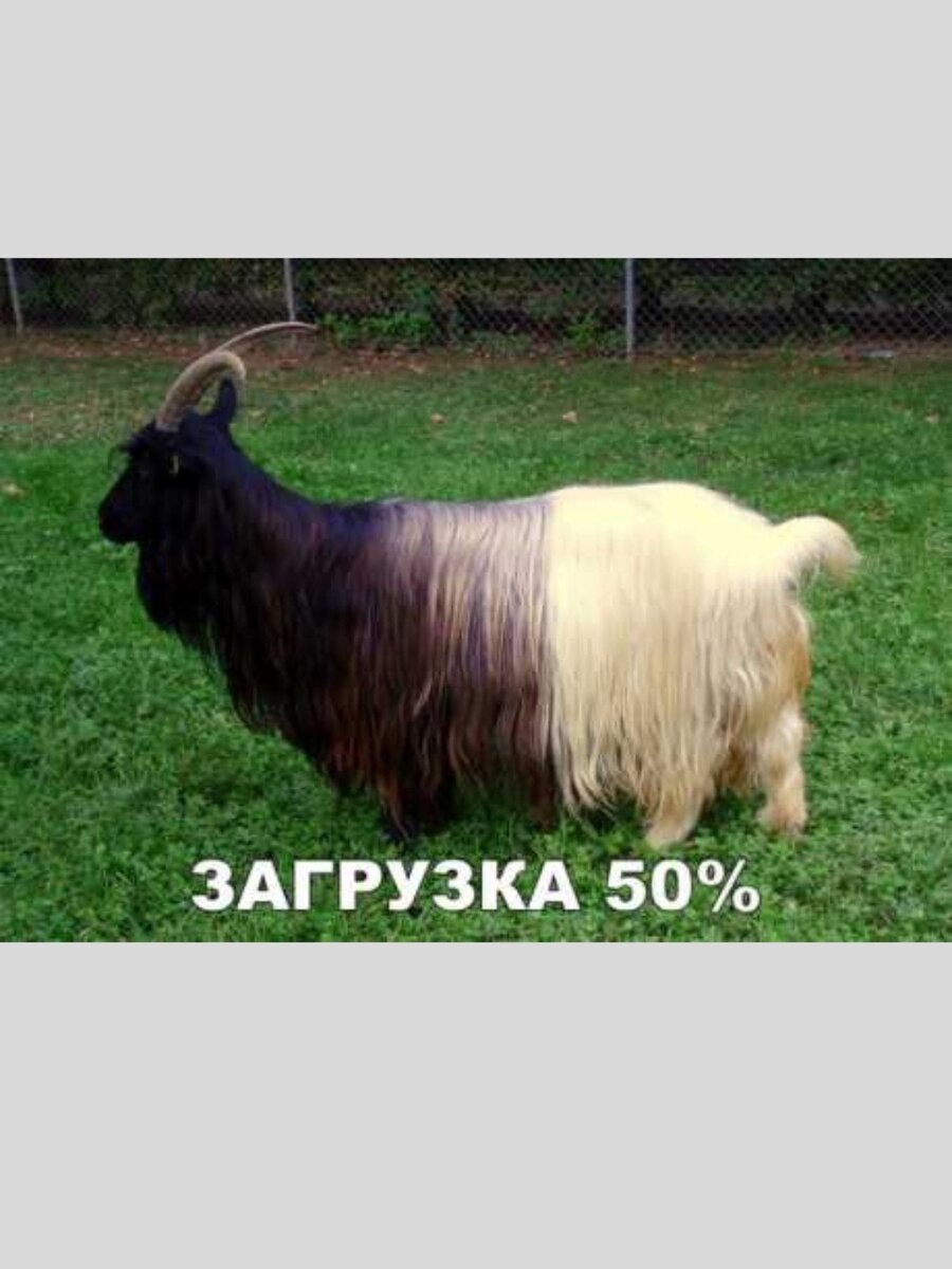 -15