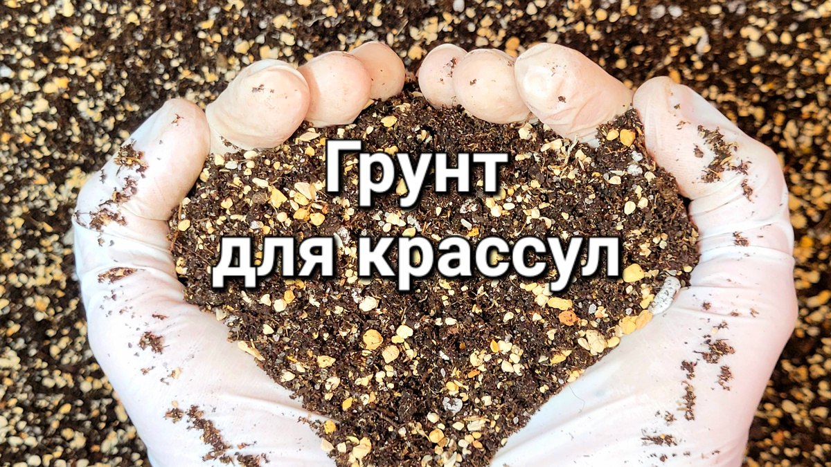 Так выглядит мой готовый грунт для крассул