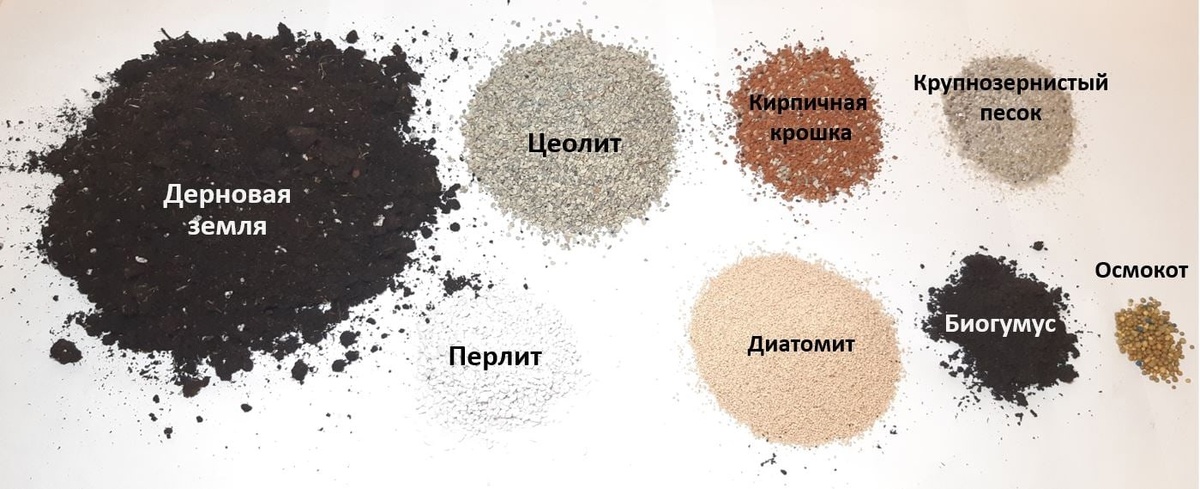 Состав моего грунта для крассул