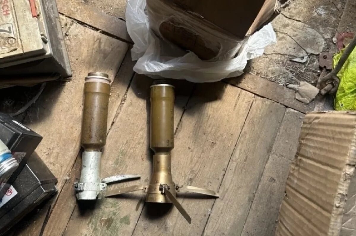    Рязанец осужден за изготовление взрывчатых веществ в домашних условиях