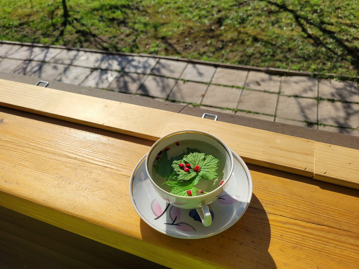 Листья смородины с барбарисом