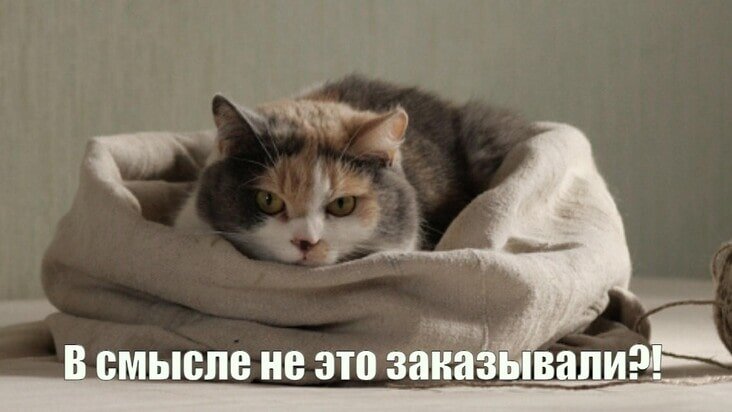 Покупка окрасочного аппарата на маркетплейсе — кот в мешке?