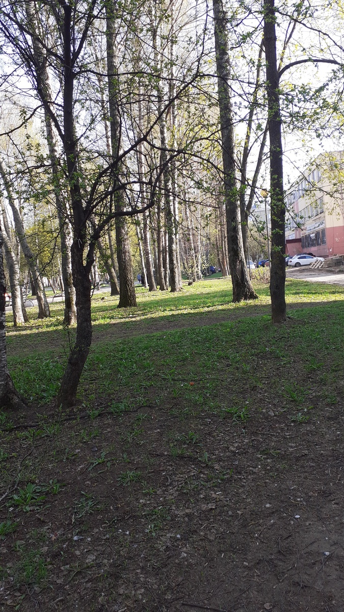 Пешеходная аллея вдоль ул.Машиностроителей г. Йошкар-ола