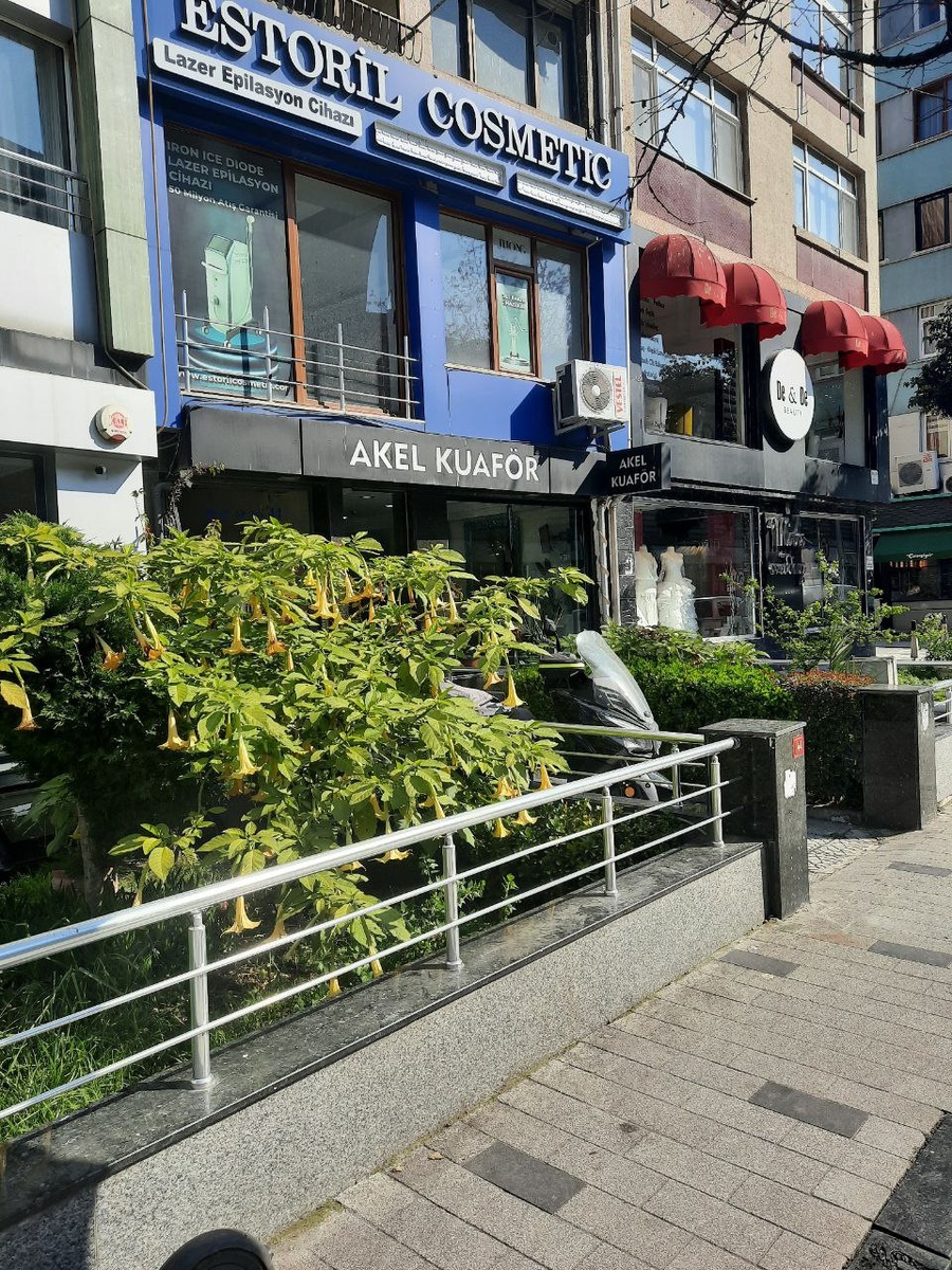 Улицы Стамбула. Турция. Фото из личного архива