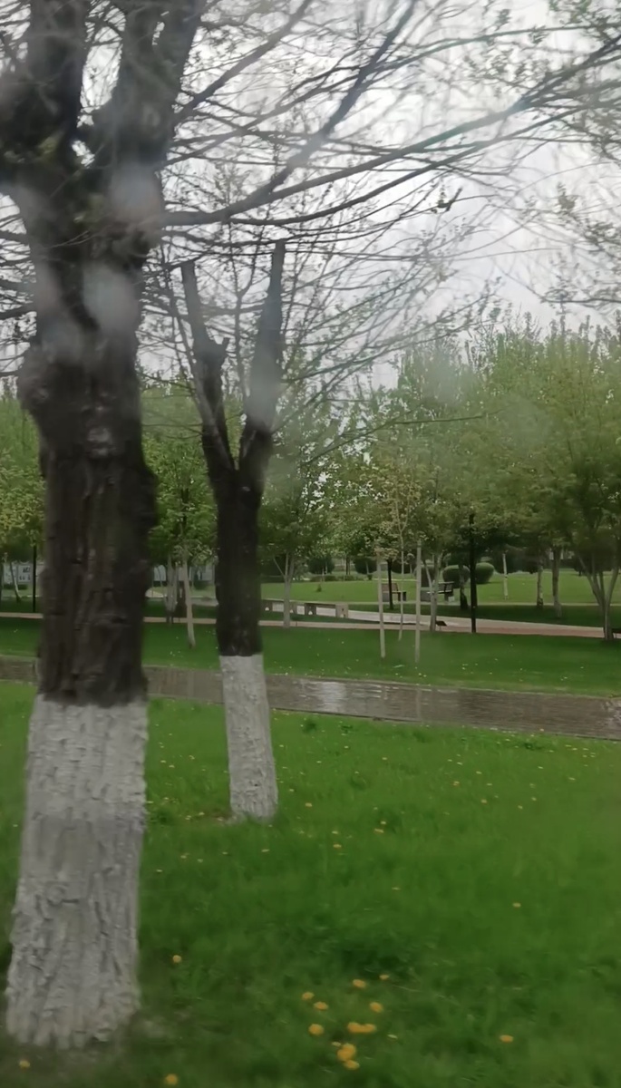 Вот такой вид из окна... 