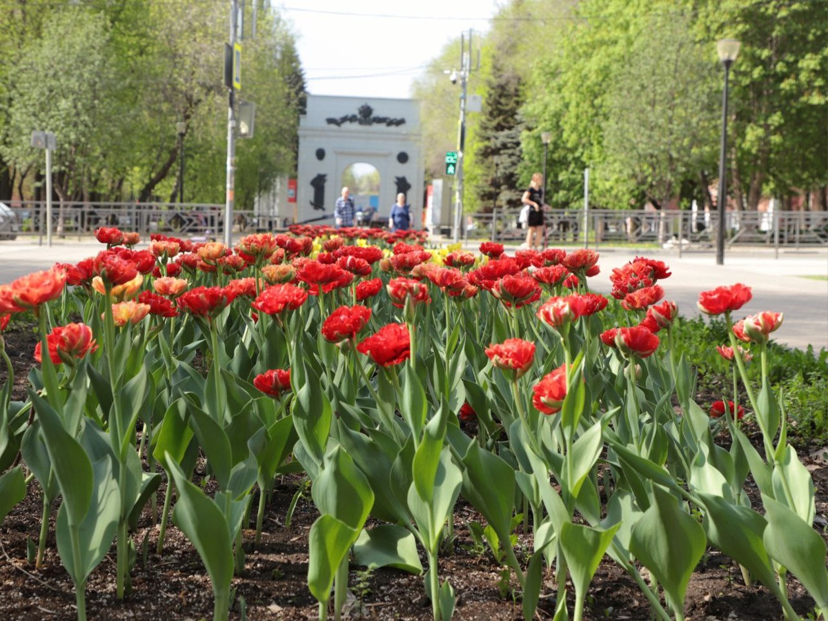    Фото: архив progorod