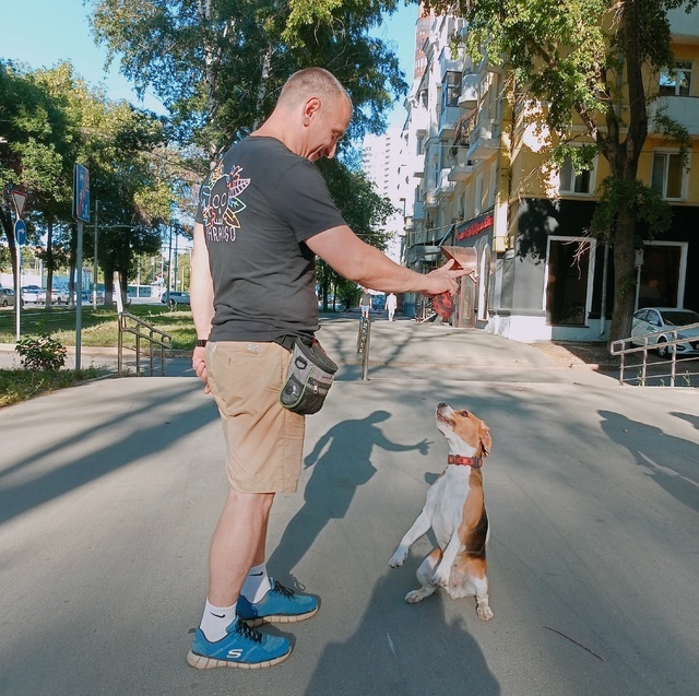    Фото из архива Progorod