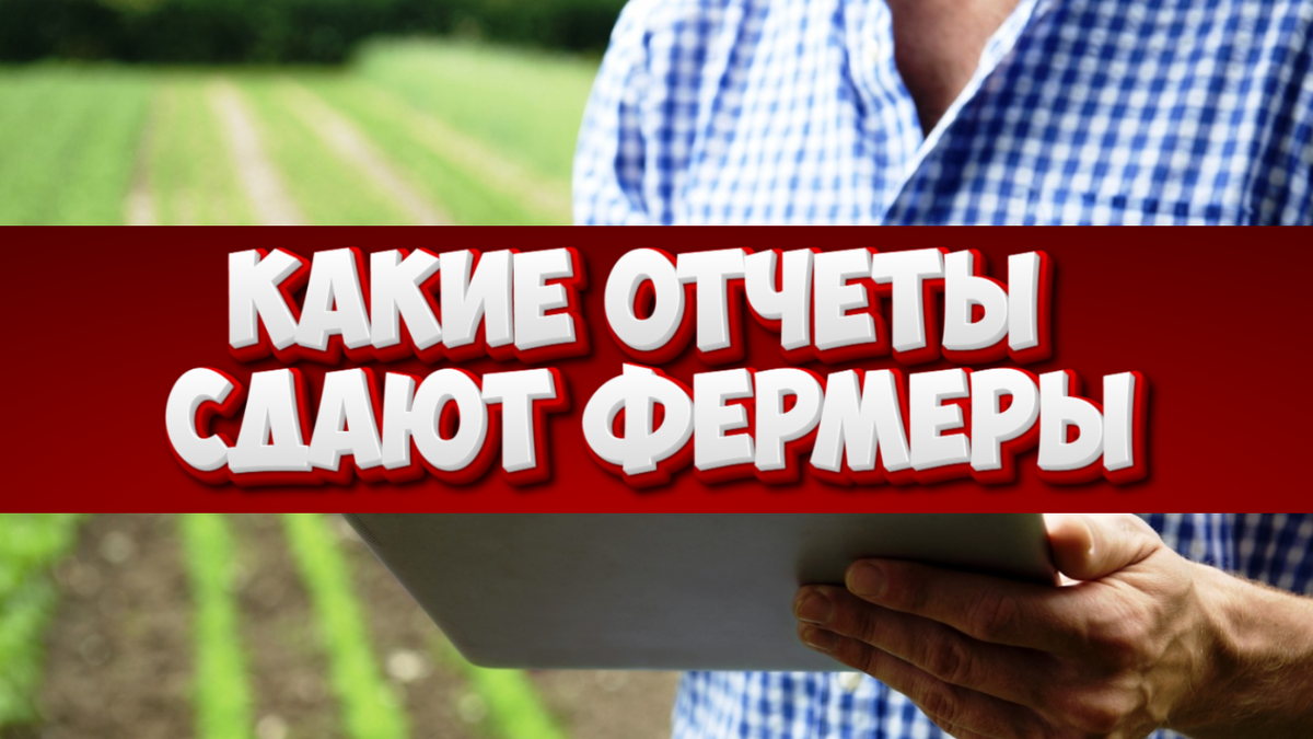 Какие отчеты сдают фермеры: полный гайд по налогам и декларациям.