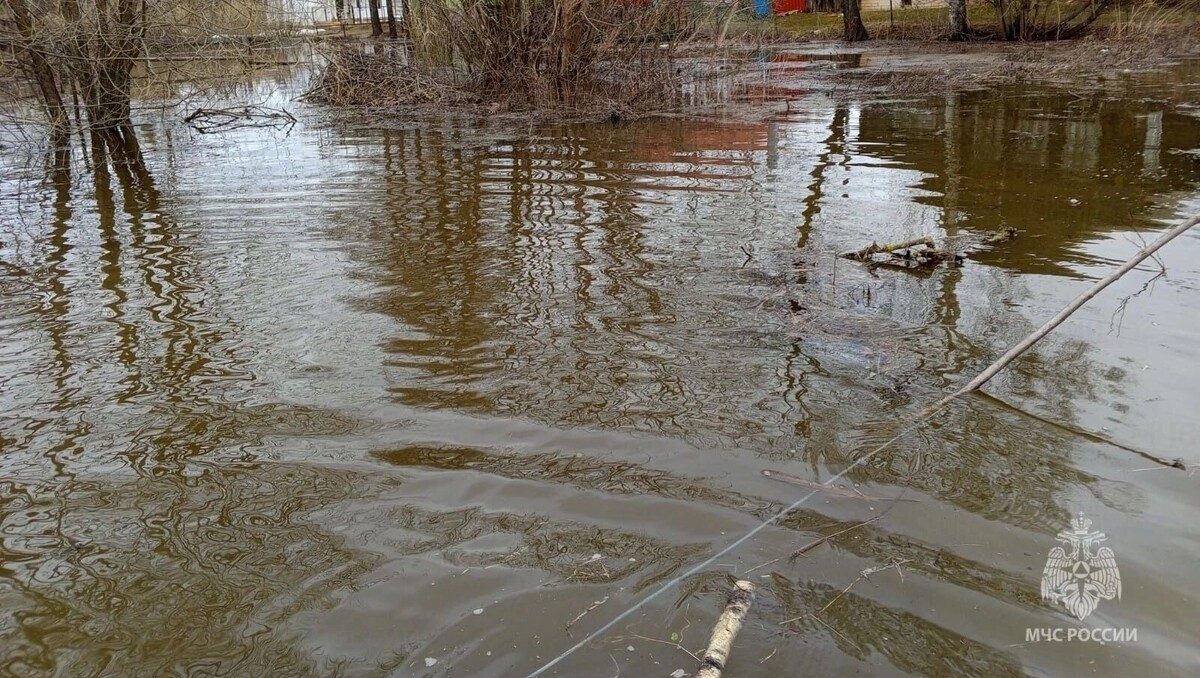     Автор: 37.mchs.gov.ru