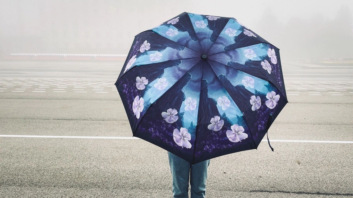     Источник: 1MI