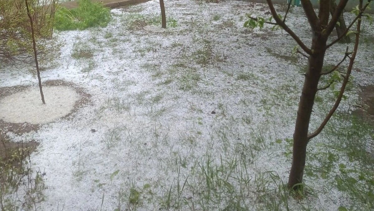     Источник: novostivolgograda.ru