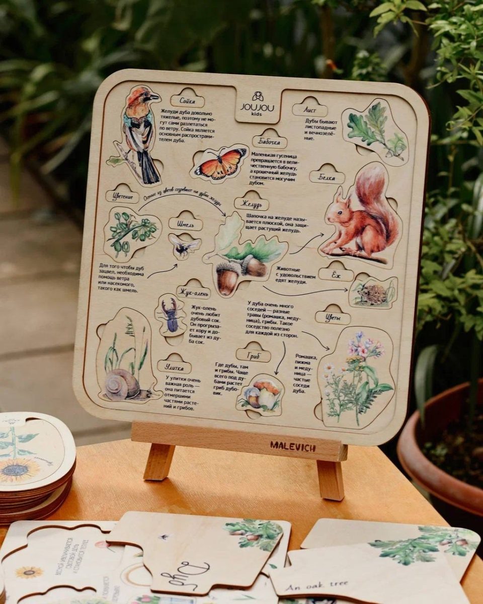    К созданию игры были привлечены ведущие российские ботанические иллюстраторы