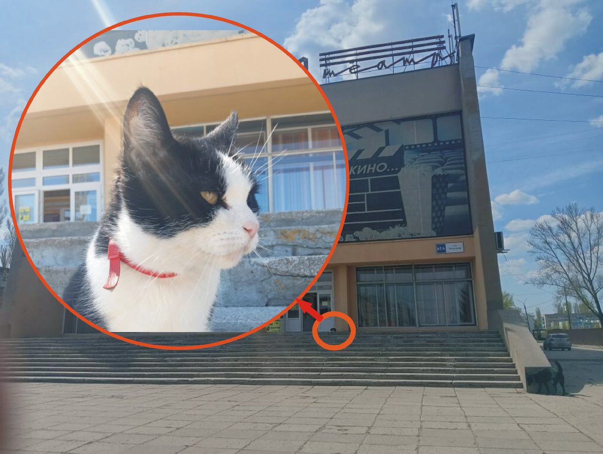 Смотрящий за кинотеатром