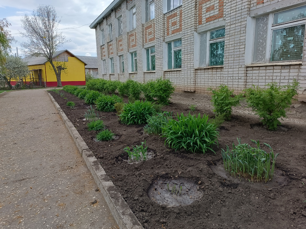 Школа принарядилась ухоженными цветниками. Жёлтое здание - это наша старая школа. У меня в этом аппендиксе даже кабинет химии был с отдельным входом, года с 89-го по 93-й. 