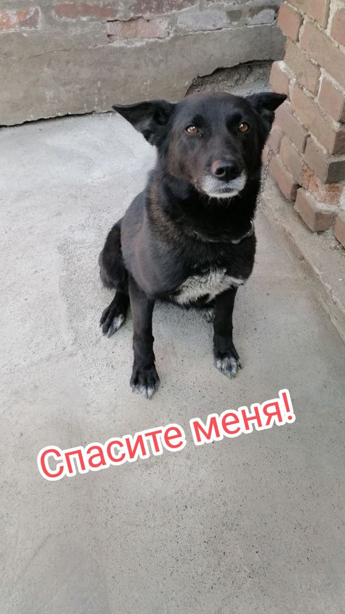 Айза ищет дом!