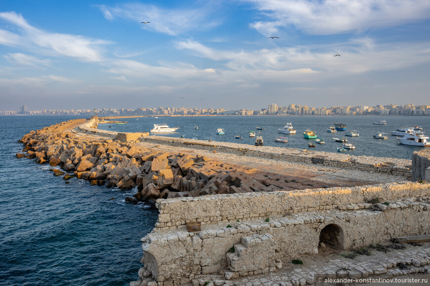 Александрийские виды © Alexander Konstantinov