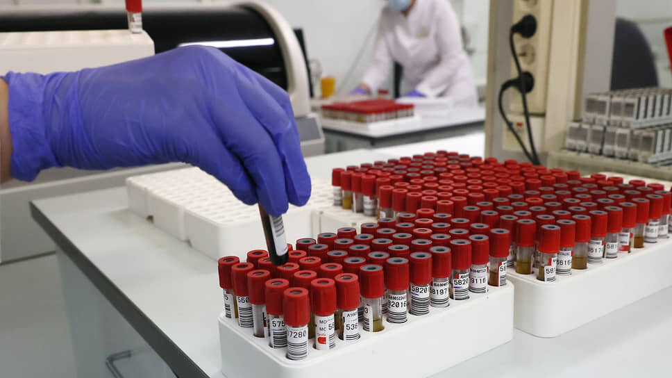 Фото: Марина Молдавская / Коммерсантъ