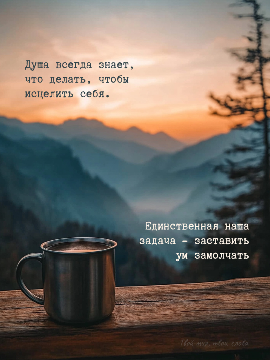 Душа всегда знает, что делать, чтобы исцелить себя. Единственная наша задача - заставить ум замолчать.