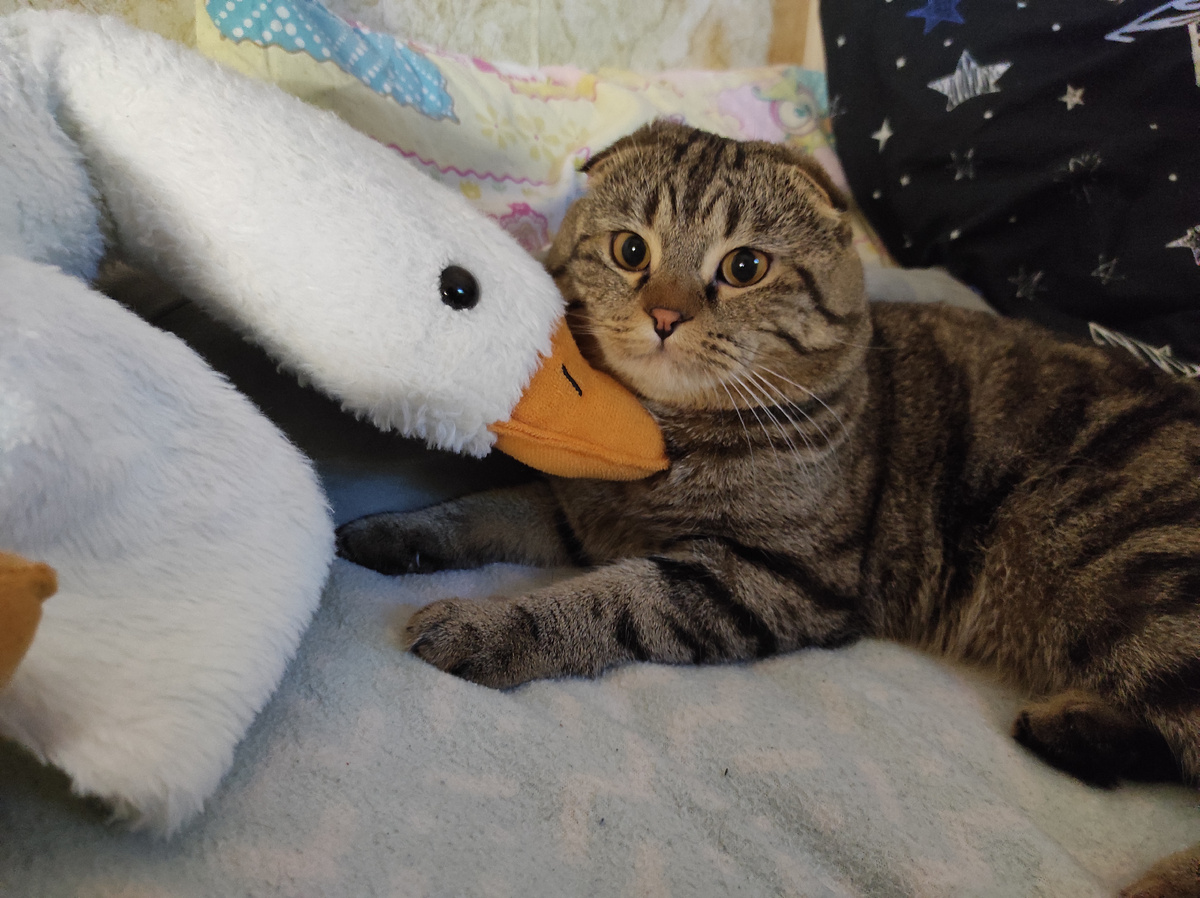 Чудо! Рядом с Федей — гусь/обнимусь Арсений)