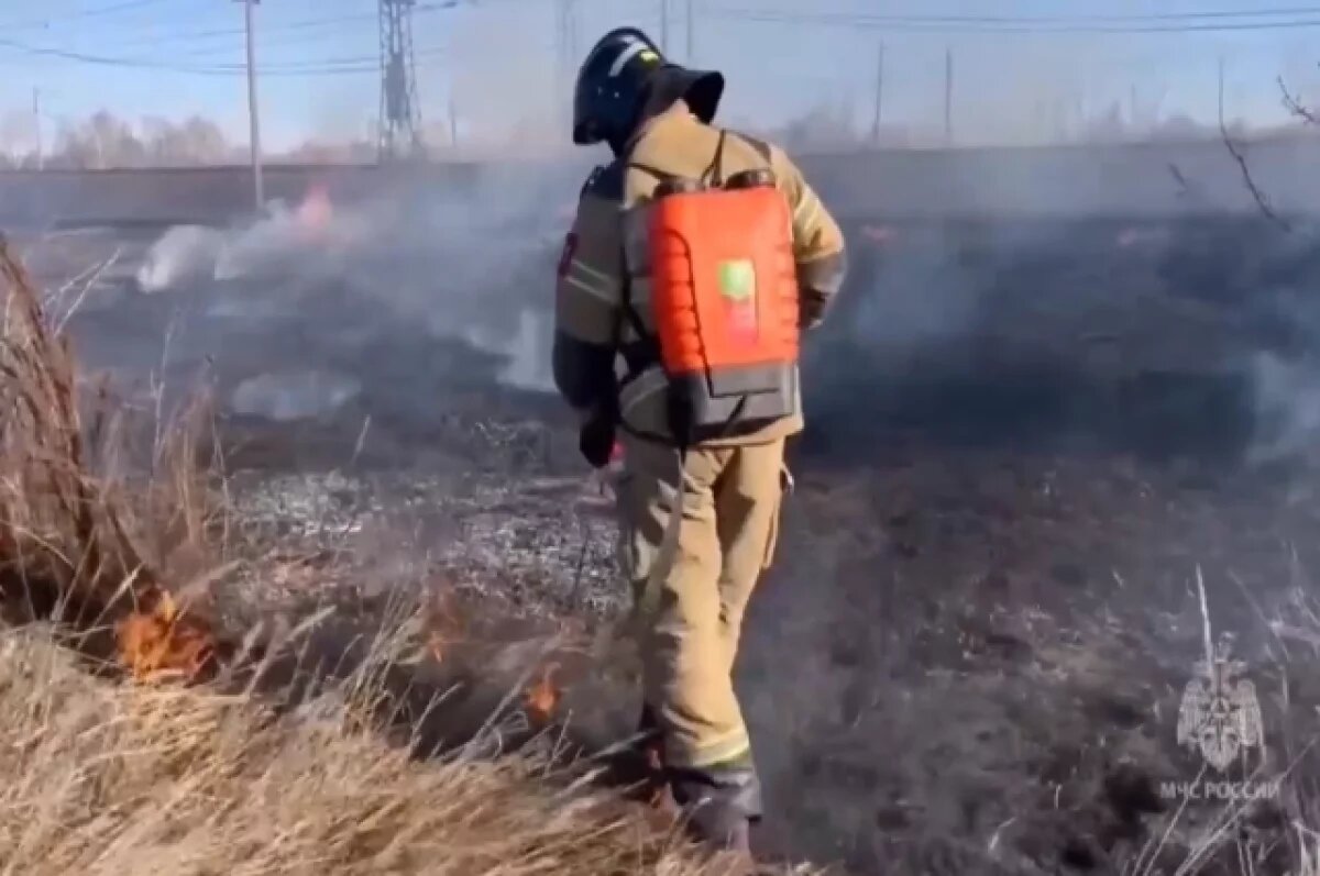    Жителям Челябинской области запретят жечь костры и сжигать мусор
