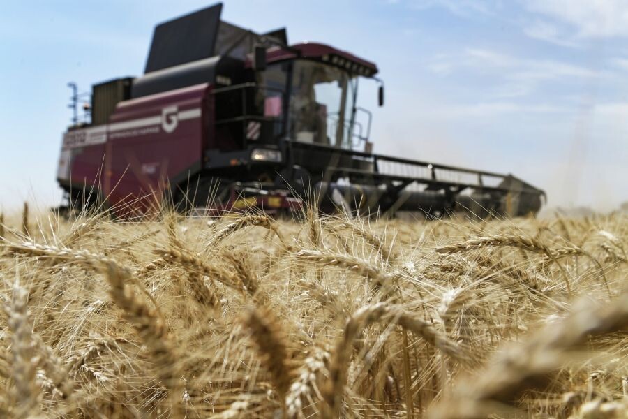     / Источник: © Константин Михальчевский/РИА Новости