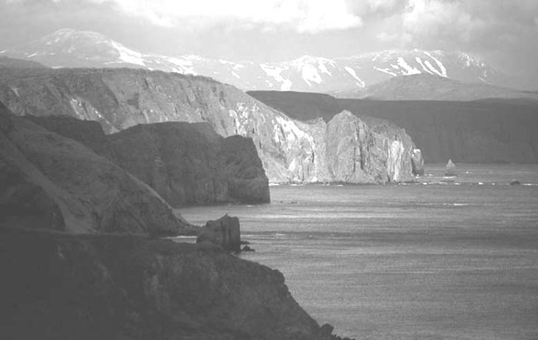 Остров Уруп. Современное фото