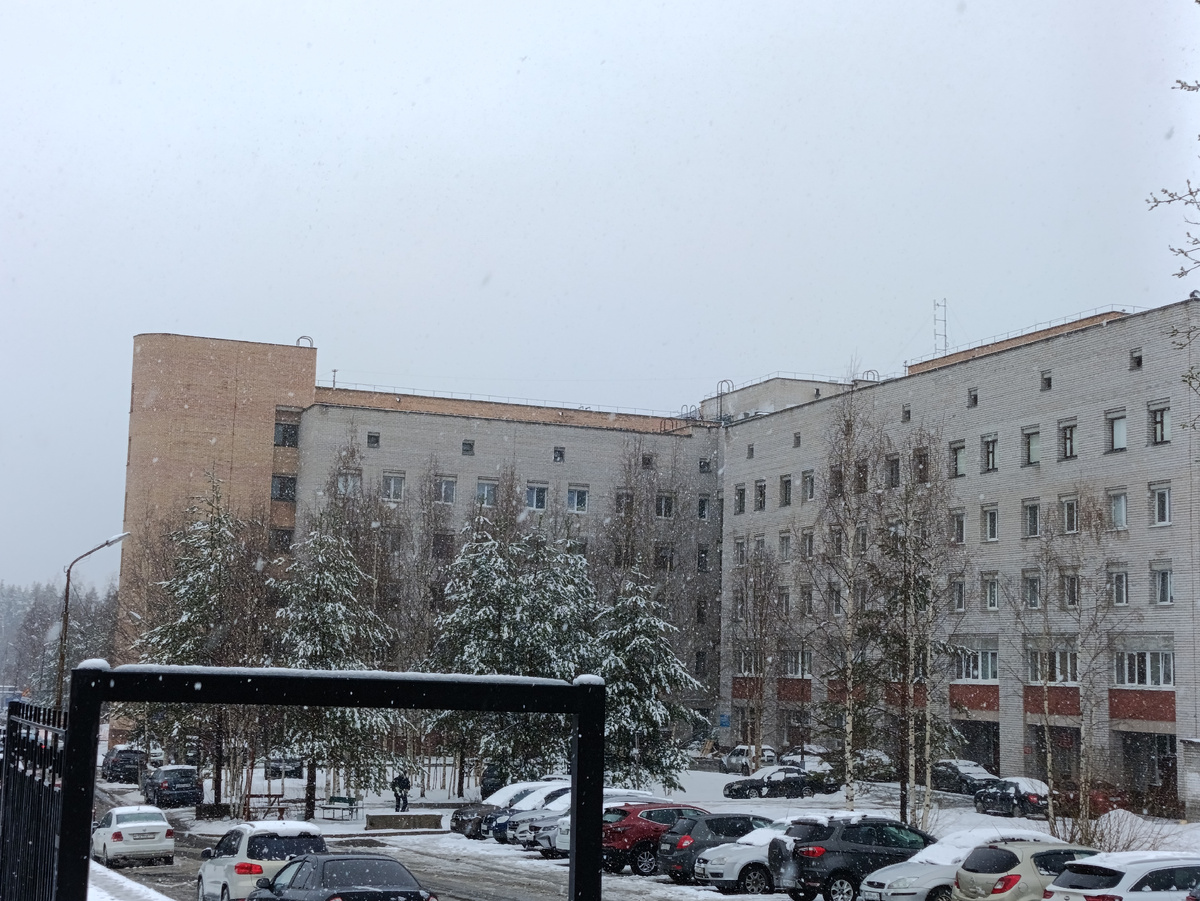 У поликлиники