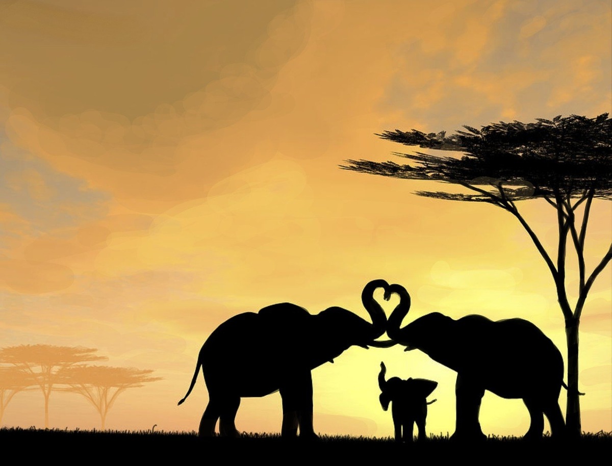 Фото из интернета