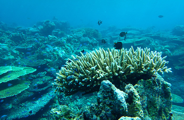    Sherbien Dacalanio/Pacific Press/ZUMA/TASS