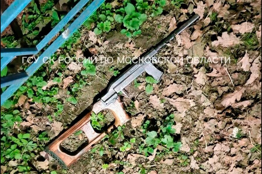    Женщина убита рядом с детской площадкой в Подмосковье