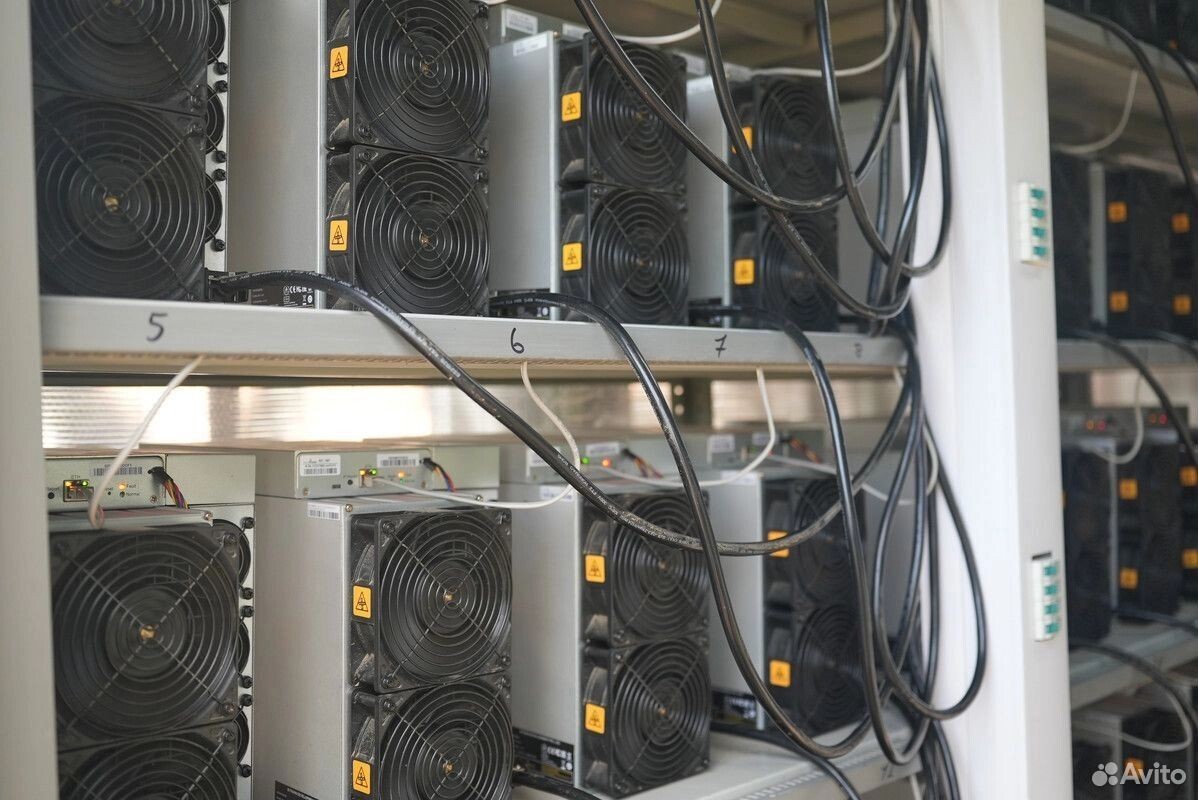     Автор: Авито