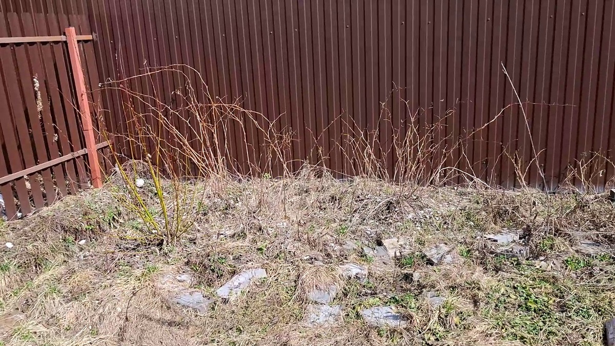 Этот угол надо очистить от малины