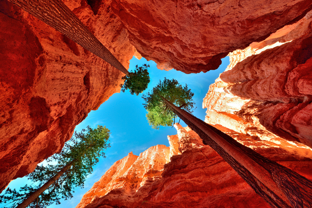 Источник: Яндекс картинки