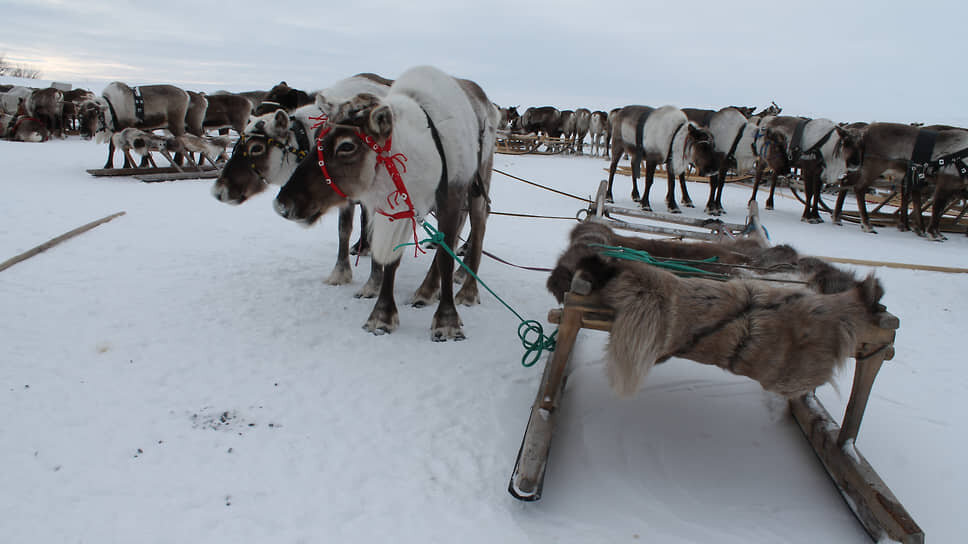 Фото: Николай Яблонский / Коммерсантъ