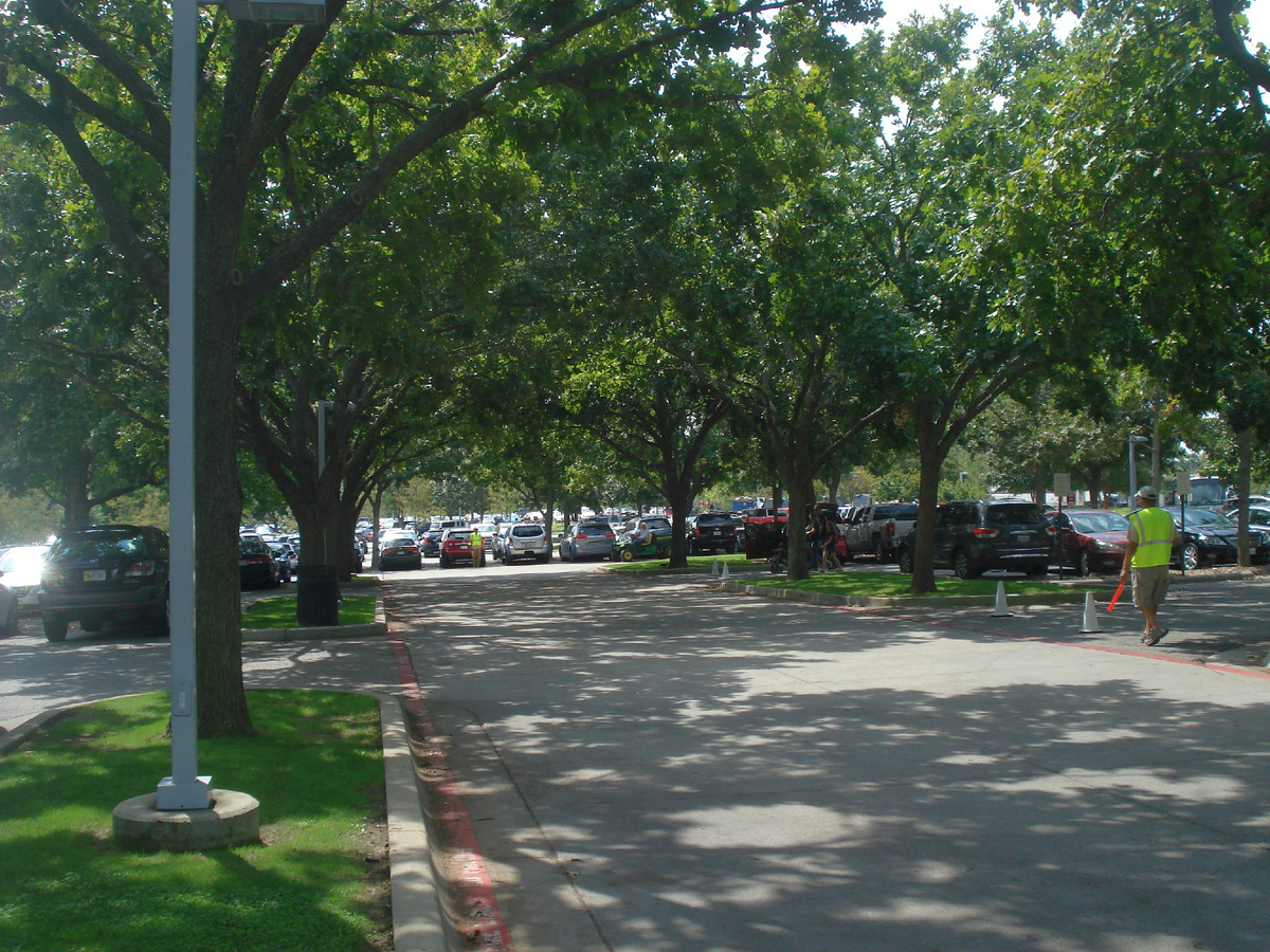 Автопарковка у ботанического сада