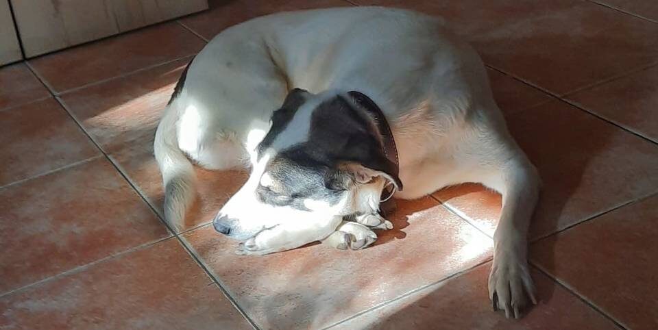    Фото: Елена Силантьева / "Городские вести"