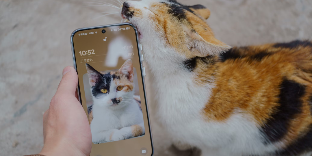 Эти три настройки защитят ваш Android от слежки