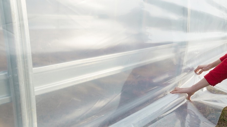 ShutterStock/Fotodom.ru