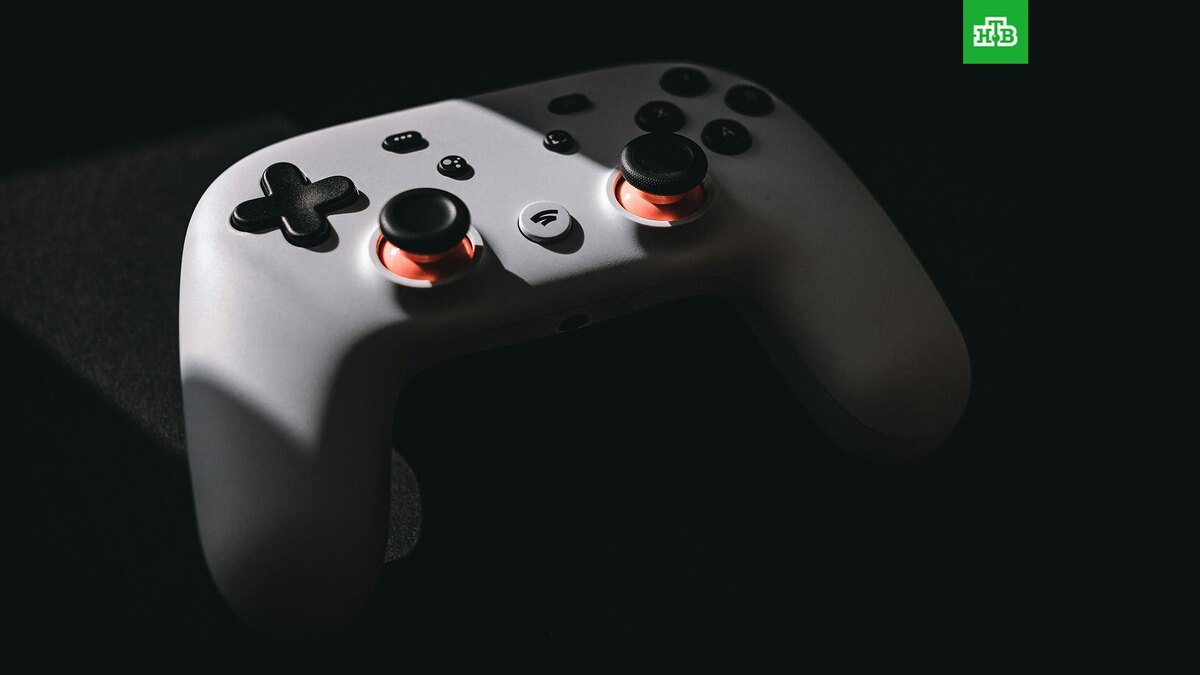    Фото: Moises Gonzalez / unsplash.com