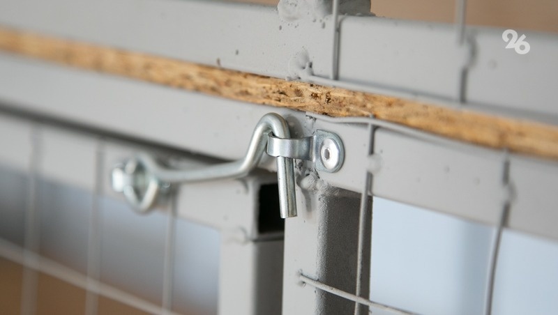      Фото: Валерия Алтухова / / ИА «Победа26»